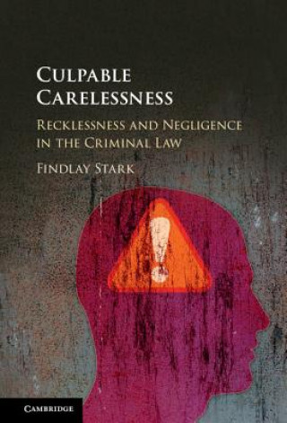 Buch Culpable Carelessness Findlay Stark