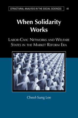 Kniha When Solidarity Works Cheol-Sung Lee