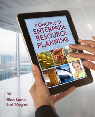 Kniha Concepts in Enterprise Resource Planning Ellen Monk