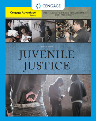 Könyv Juvenile Justice Karen M. Hess
