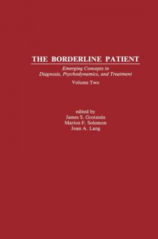 Kniha Borderline Patient James S. Grotstein