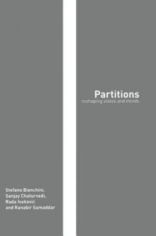 Kniha Partitions Stefano Bianchini