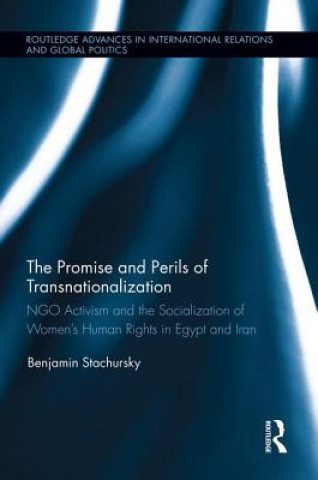 Kniha Promise and Perils of Transnationalization Benjamin Stachursky