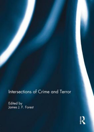 Kniha Intersections of Crime and Terror 