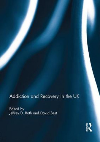 Kniha Addiction and Recovery in the UK 