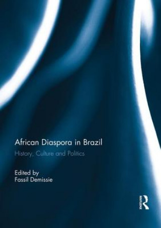 Könyv African Diaspora in Brazil 