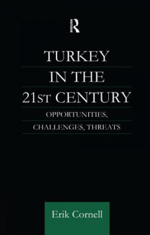 Buch Turkey in the 21st Century CORNELL