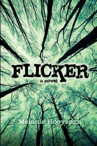 Livro Flicker Melanie Hooyenga