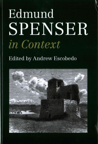 Buch Edmund Spenser in Context Andrew Escobedo