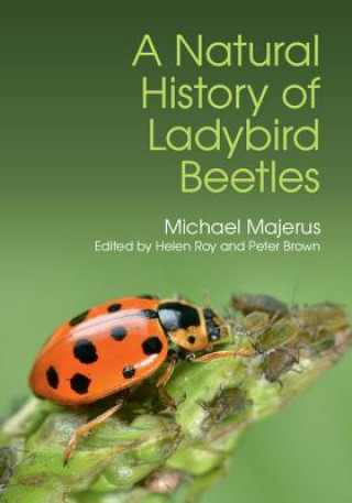 Kniha Natural History of Ladybird Beetles M. E. N. Majerus
