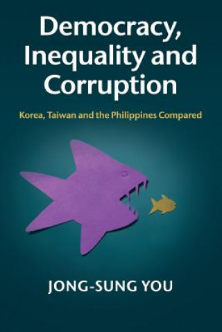 Książka Democracy, Inequality and Corruption Jong-sung You