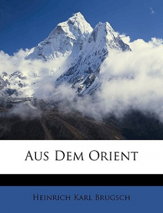 Buch Aus dem Orient, Erster Theil Heinrich Karl Brugsch