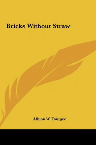 Kniha Bricks Without Straw Albion W. Tourgee