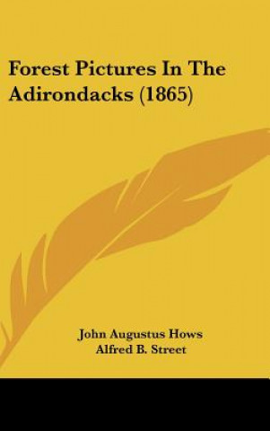 Buch Forest Pictures In The Adirondacks (1865) John Augustus Hows