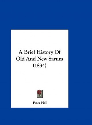 Knjiga A Brief History Of Old And New Sarum (1834) Peter Hall