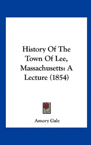 Kniha History Of The Town Of Lee, Massachusetts Amory Gale