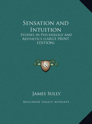 Kniha Sensation and Intuition James Sully