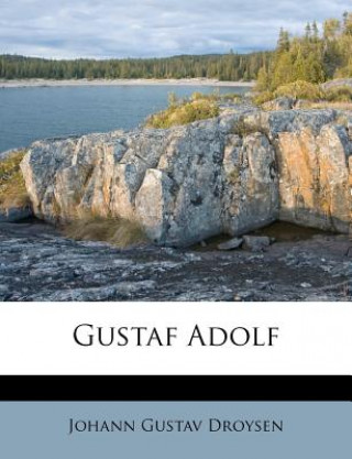 Libro Gustaf Adolf. Johann Gustav Droysen