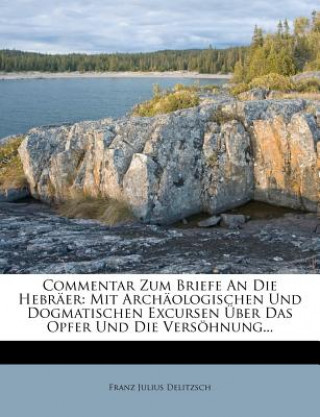 Książka Commentar Zum Briefe An Die Hebräer: Mit Archäologischen Und Dogmatischen Excursen Über Das Opfer Und Die Versöhnung... Franz Julius Delitzsch