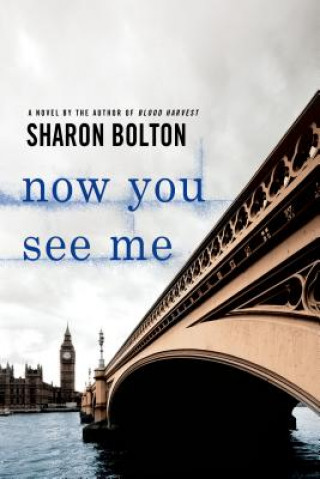 Könyv Now You See Me S. J. Bolton