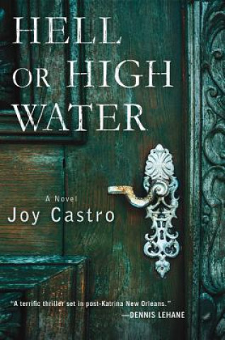 Kniha Hell or High Water Joy Castro