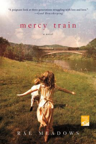 Knjiga Mercy Train Rae Meadows