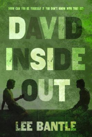 Book David Inside Out Lee Bantle