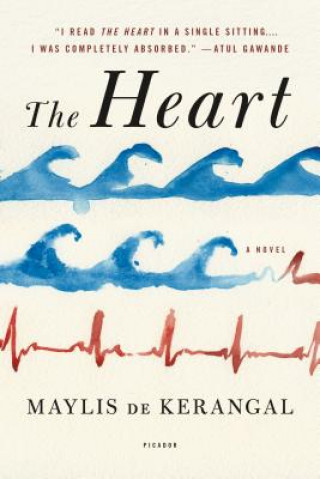 Könyv Heart Maylis De Kerangal
