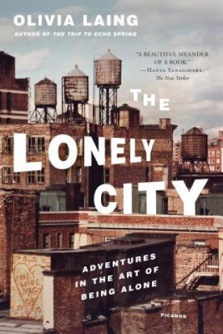 Kniha LONELY CITY Olivia Laing