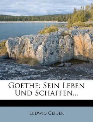 Livre Goethe: Sein Leben und Schaffen von Ludwig Geiger Ludwig Geiger