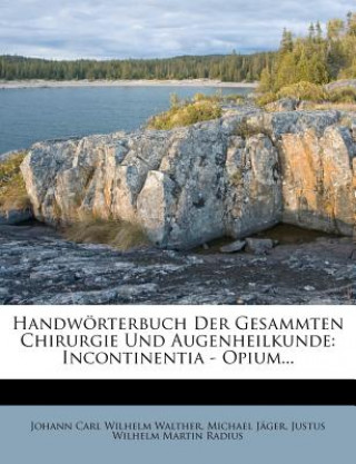 Kniha Handwörterbuch der Gesammten Chirurgie und Augenheilkunde, vierter Band Johann Carl Wilhelm Walther