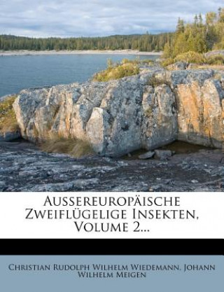 Kniha Aussereuropäische Zweiflügelige Insekten, zweiter Theil Christian Rudolph Wilhelm Wiedemann