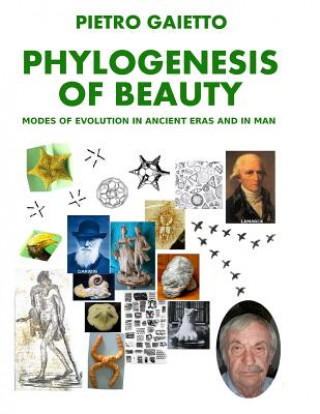 Книга Phylogensesis of Beauty Pietro Gaietto