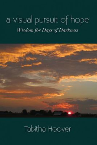 Carte Visual Pursuit of Hope: Wisdom for Days of Darkness Tabitha Hoover