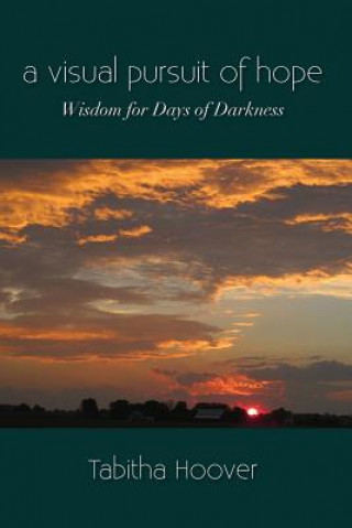 Kniha Visual Pursuit of Hope: Wisdom for Days of Darkness Tabitha Hoover