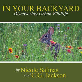 Kniha In Your Backyard: Discovering Urban Wildlife C. G. Jackson