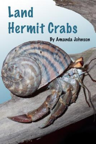 Carte Land Hermit Crabs Amanda Johnson