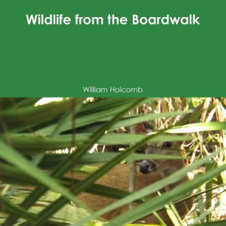 Könyv Wildlife from the Boardwalk William Holcomb