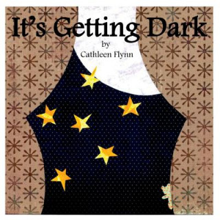Book It's Getting Dark Cathleen Flynn