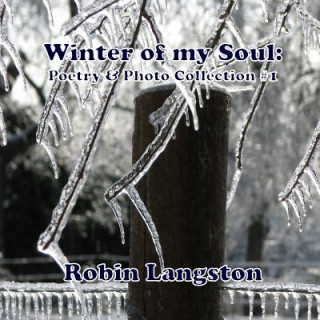 Kniha Winter of My Soul: Poetry & Photo Collection #1 Robin Langston