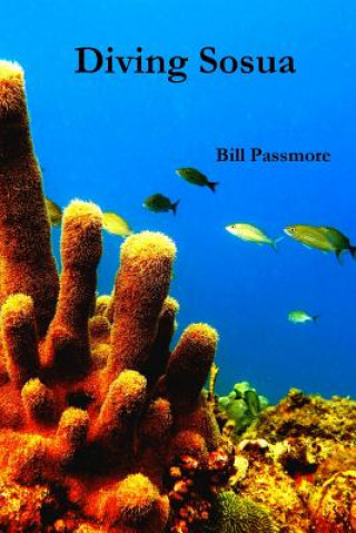 Livre Diving Sosua William Passmore