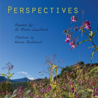 Knjiga Perspectives Karen Godbout