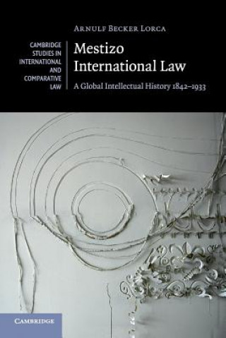 Carte Mestizo International Law Arnulf Becker Lorca