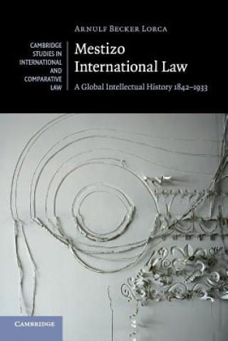 Kniha Mestizo International Law Arnulf Becker Lorca