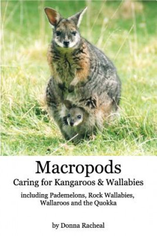 Carte Macropods - Caring for Kangaroos and Wallabies Donna Racheal