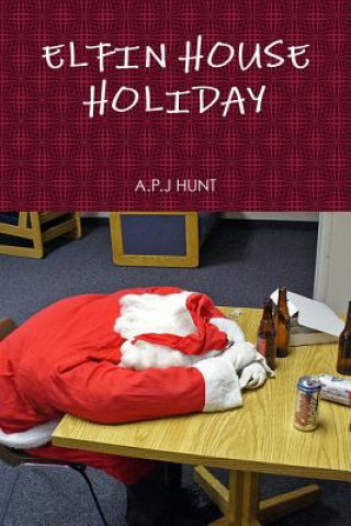Kniha Elfin House Holiday A. P. J. Hunt