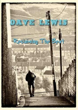 Book Reclaiming the Beat Dave Lewis