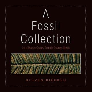 Kniha Fossil Collection Steven Kiecker