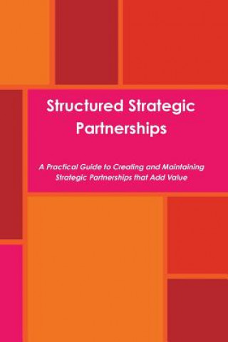 Könyv Structured Strategic Partnerships Ezra Schneier