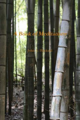 Kniha Book of Meditations John a. Blackard